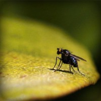 /album/raio-negro-e-minorio/photolia-a07-jpg/